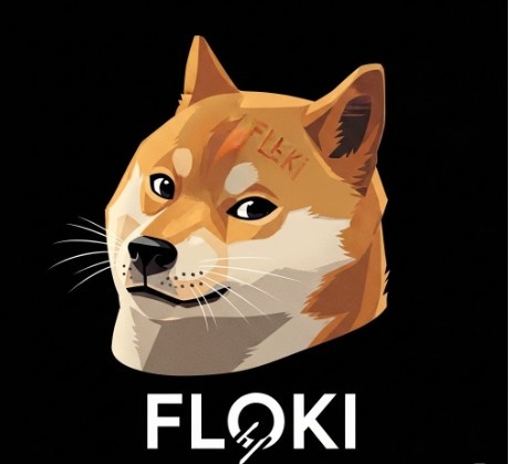 Floki Inu