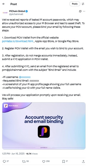 Pi Network PiChain Global